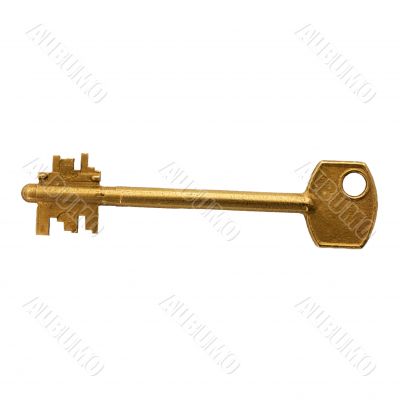 Golden key white