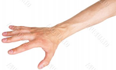 Hand on a white