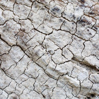 The grey cracked surface