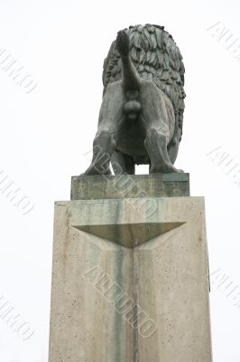 lion bottom