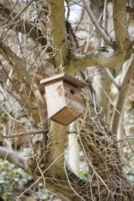 bird house pending