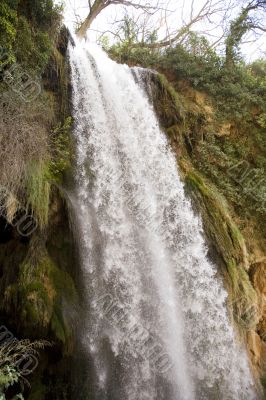 cascade with plants