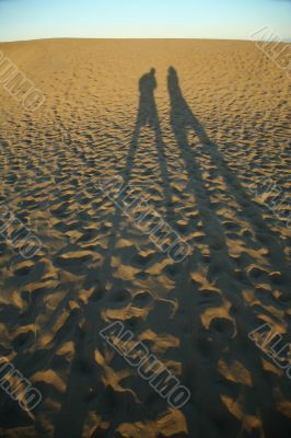 couple of shadows