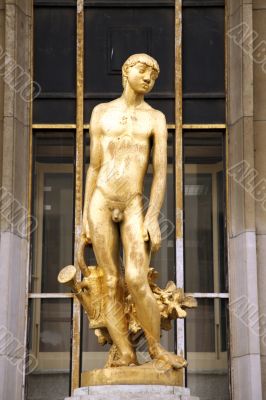 golden boy