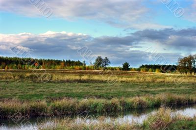 Autumn forest with dramatic cloudy sky