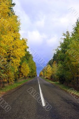 Autumn road