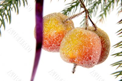decorative apples