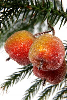 decorative apples