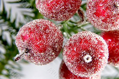 decorative apples