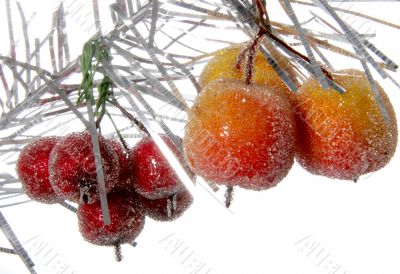 decorative apples