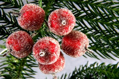 decorative apples