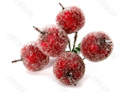 decorative apples