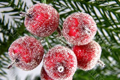 decorative apples