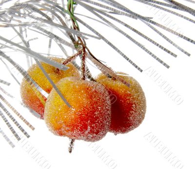 decorative apples