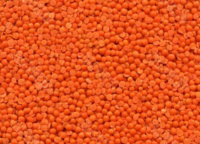 Lentils texture