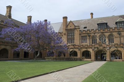 Sydney University Quadrangle