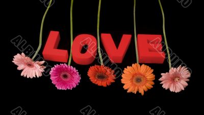 LOVE decorated with flowers