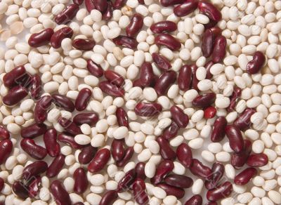 red and white beans