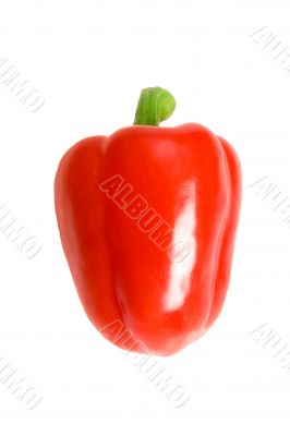 Ripe sweet pepper