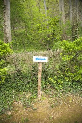 right arrow sign