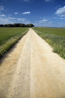 sand track