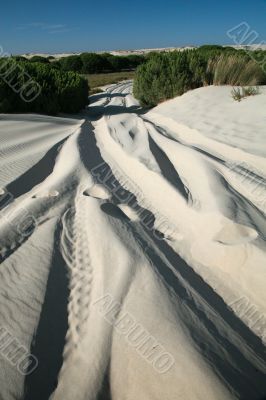 trace truck