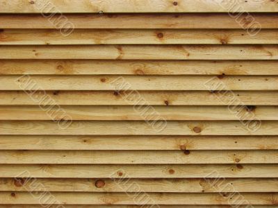 Wooden texture