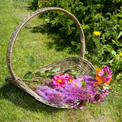Basket with summer flowers