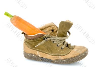 Shoe with carrot for Sinterklaas
