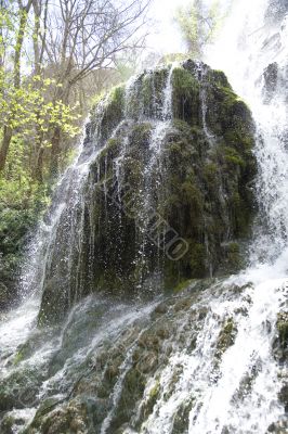 waterfall and moss