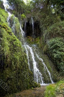waterfall and plants