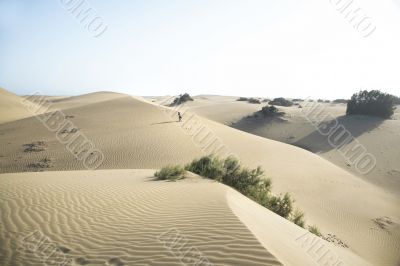 walking at the desert