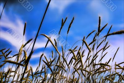 Great Outdoors Sights