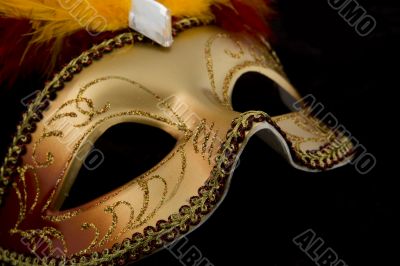 Mask Venetian, Carnival