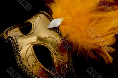 Mask Venetian, Carnival