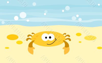 Crab on the beach