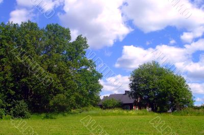 Rural landscape
