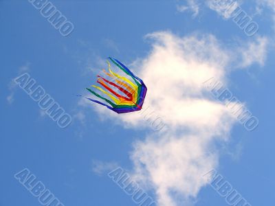 Rainbow Kite