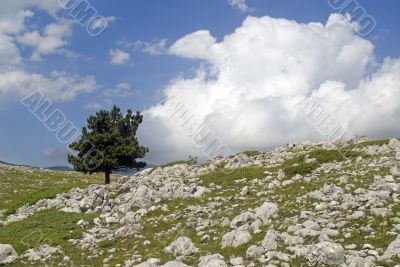 Campo Imperatore at summer