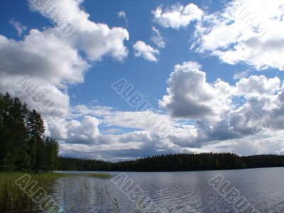 Forest lake