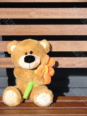 Toy teddy bear
