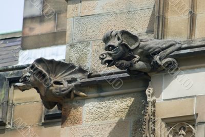 gargoyle