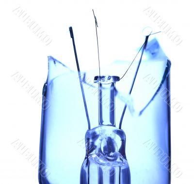 Bulb