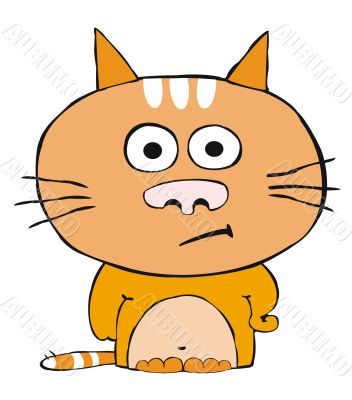 Disconented red cat