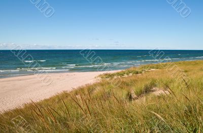 Lake Michigan Beach and Dune Grass