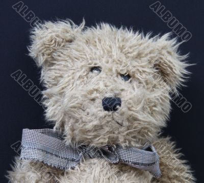 teddy bear