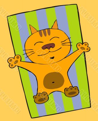Lazy cat