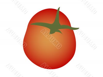 tomato