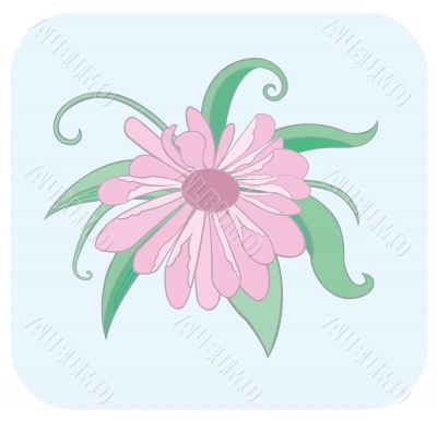 Pink flower