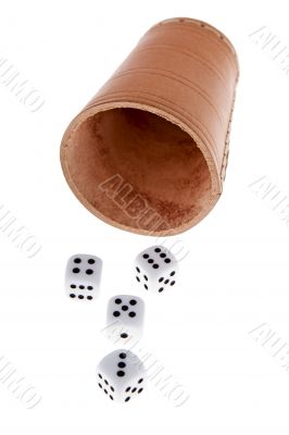 Shaker with cube
